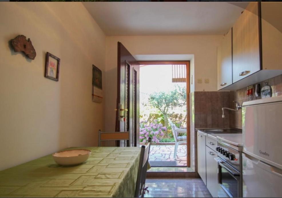 Valentina Apartment Novigrad  Bagian luar foto