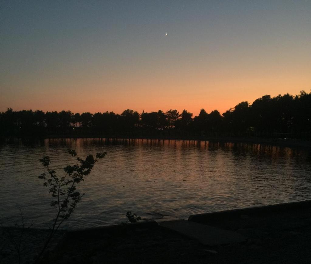 Valentina Apartment Novigrad  Bagian luar foto