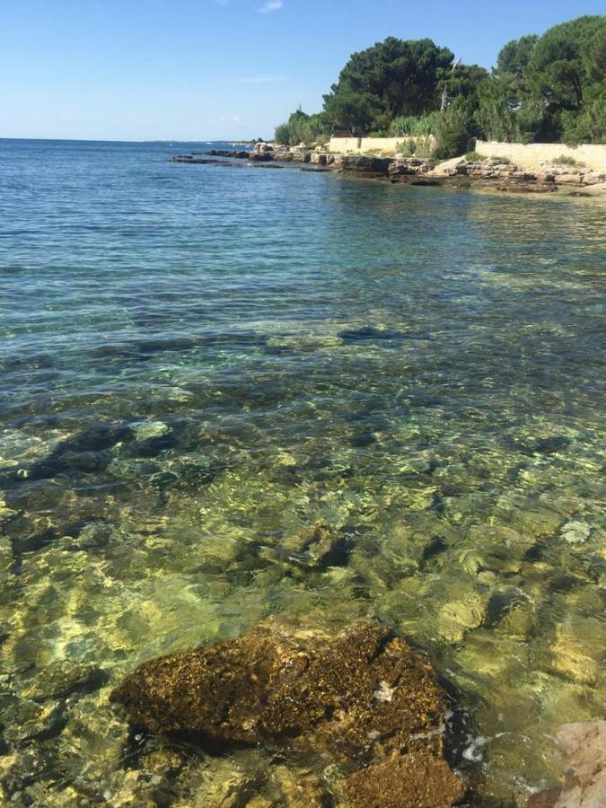 Valentina Apartment Novigrad  Bagian luar foto