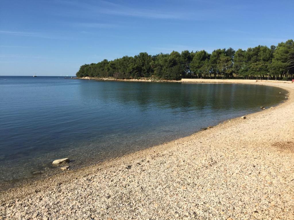 Valentina Apartment Novigrad  Bagian luar foto